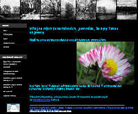 Monika �turmov�
