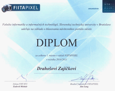 FIITAPIXEL 2010/2011