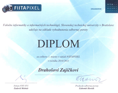 FIITAPIXEL 2010/2011