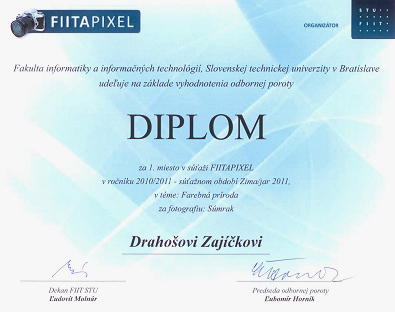 FIITAPIXEL 2010/2011