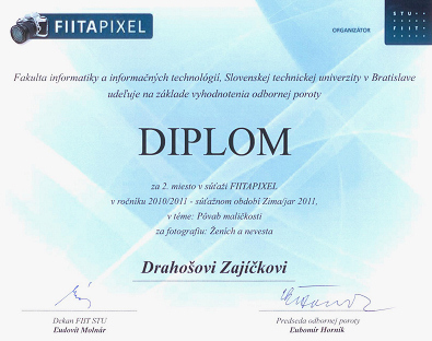 FIITAPIXEL 2010/2011