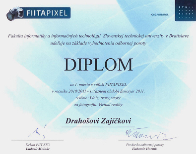 FIITAPIXEL 2010/2011