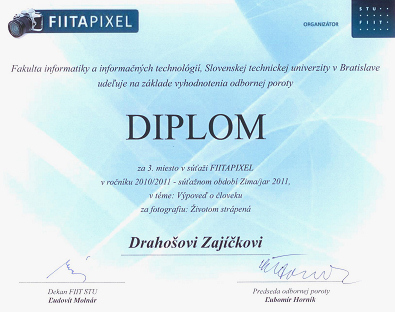 FIITAPIXEL 2010/2011