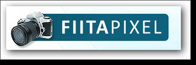 FIITAPIXEL 2010/2011
