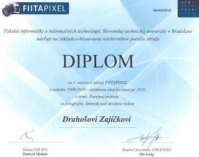 FIITAPIXEL 2009/2010