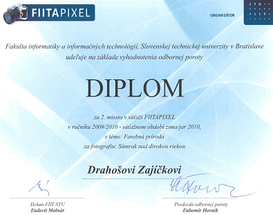 FIITAPIXEL 2009/2010