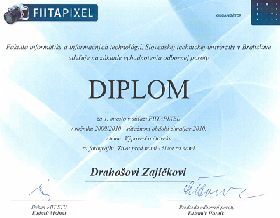 FIITAPIXEL 2009/2010