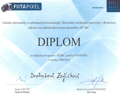 FIITAPIXEL 2009/2010