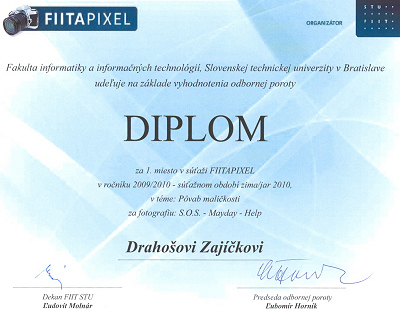 FIITAPIXEL 2009/2010